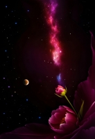http://larysarusina.info/files/gimgs/th-27_stardust26.jpg