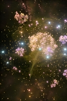 http://larysarusina.info/files/gimgs/th-27_stardust3.jpg