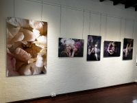 http://larysarusina.info/files/gimgs/th-30_IMG_0007.jpg