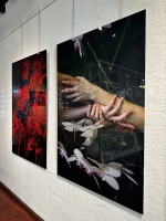 http://larysarusina.info/files/gimgs/th-30_IMG_0014.jpg